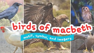 Instantly improve your MACBETH analysis - what's up with the birds