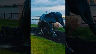 Windsor Sculptures Park #travel #nature #river #city #usa #ontario #canada