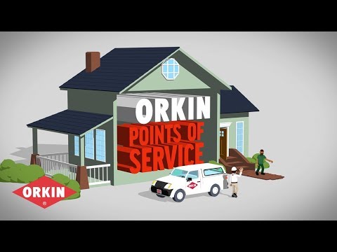 What to expect from Orkin Pest Control