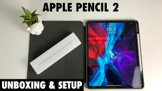 Apple Pencil 2 Unboxing and Setup