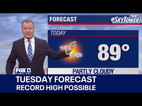 Tampa weather |
