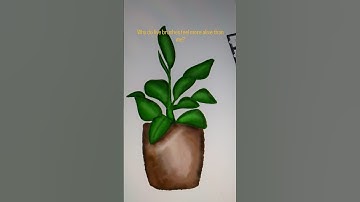 HAVE YOU TRIED THIS? #shorts #viralshorts #digitalart #shrutiiarts #art