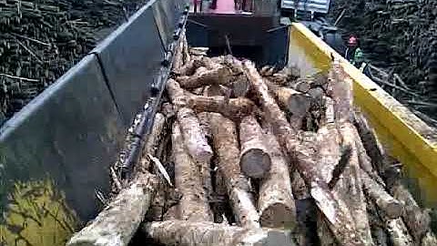 Debarker BIG LOGS 30’’