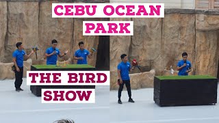 Cebu Ocean Park The Bird Show + British husband first time to visit in the Philippines.