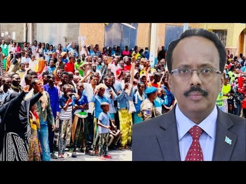 TOOS Shacabka Ceelasha Biyaha Oo Ka Banaan Baxay Dhul Boobka Ku Socda Iyo Farmaajo