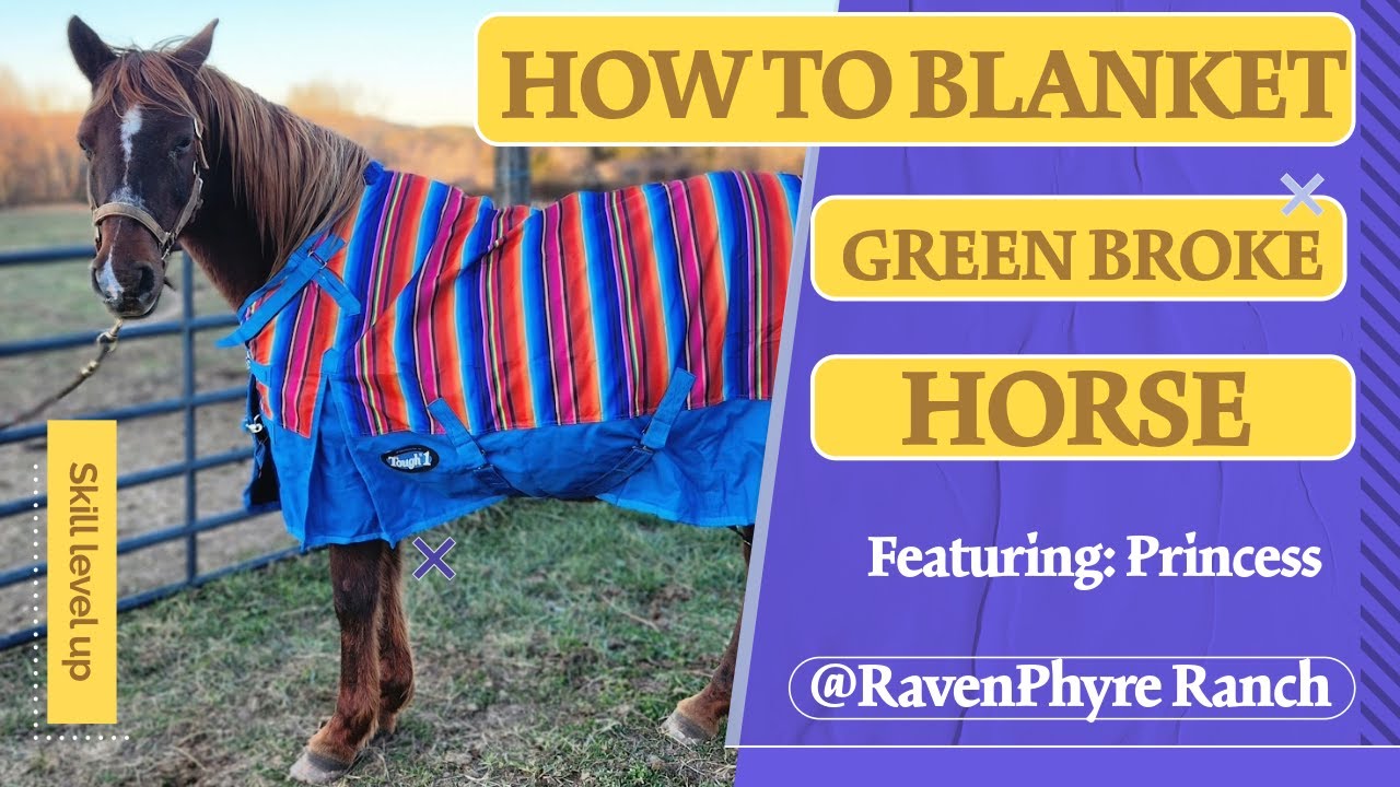 How to blanket a green broke horse howto horse YouTube