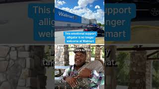 This emotional support alligator is no longer welcome at Walmart