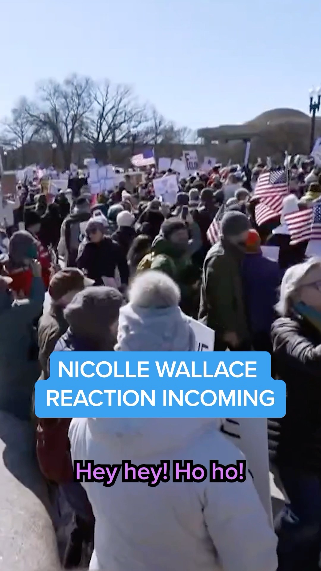 'Not My President's Day' anti-Trump protests held across U.S.