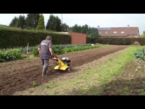 Wideo: Używanie grabi ogrodowych - Jak korzystać z grabi łukowych w krajobrazie