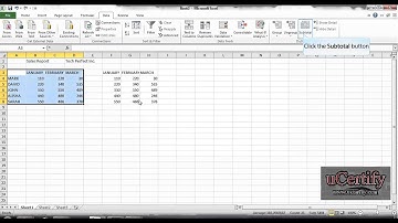 ms excel 2010 how to perform consolidate and subtotals demo