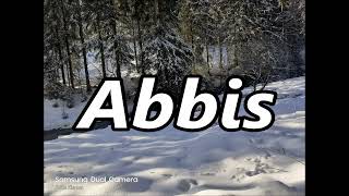 Abbis As A Surname Origin Meaning
