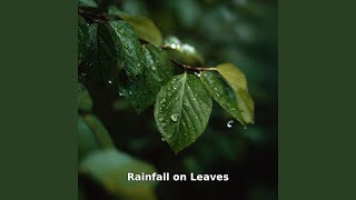 Rainfall on Leaves Drift, Pt.10