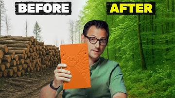 A Genius Solution to Stop Forest Destruction