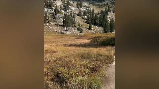 Mount Wolverine plus Five
