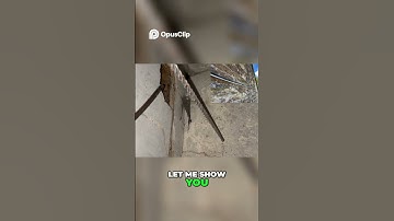 A short sds drilling lesson with Harvey the apprentice!