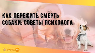 Как пережить смерть собаки: советы психолога