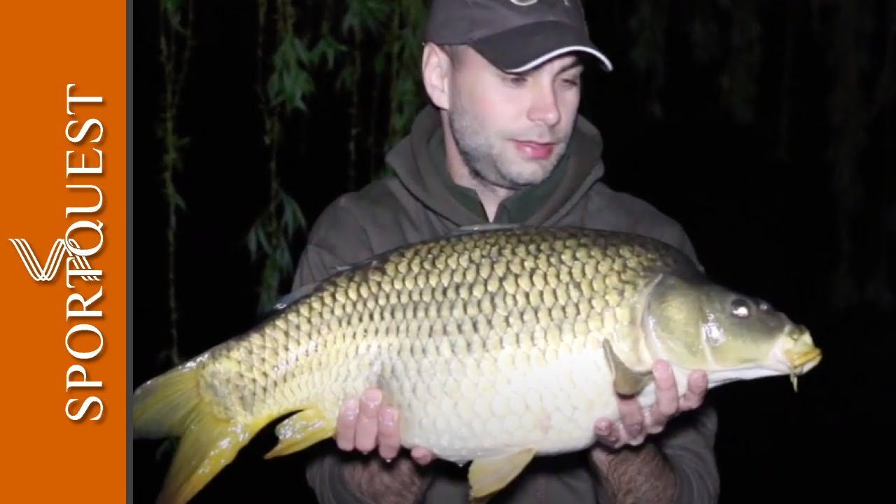 Catfishing Holidays River Ebro Spain