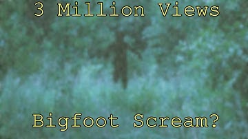 "Strange Sound While Mushroom Hunting" Is A Hoax...I Proved It (REUPLOAD)