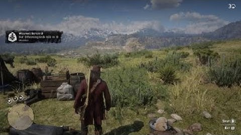 Red Dead Redemption 2 Weapons Expert Challenge #2