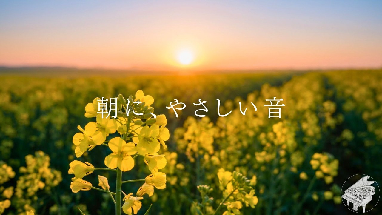 【朝の癒しピアノ】朝に、やさしい音。｜ピアノBGM・リラックスBGM・作業用・寄り添う言葉・静かなインスト音楽
