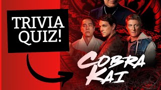 How Well Do You Know COBRA KAI? Take Our Quiz To Find Out!