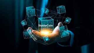 스테이블코인 전용 블록체인 급증! 서클·스트라이프가 메인넷 개발하는 이유 | 암호화폐 트렌드 분석