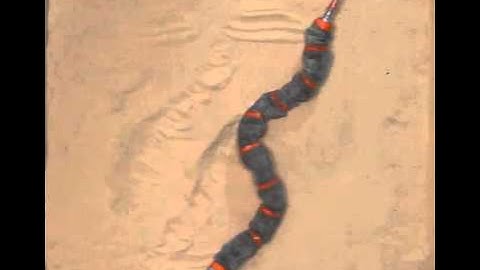 snake robot performing reversal turning