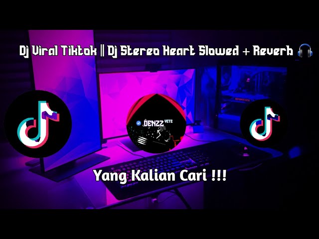 Dj Viral Tiktok || Dj Stereo Heart Slowed + Reverb 🎧 class=