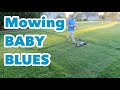 Mowing Brand New Baby Bluegrass for the First Time