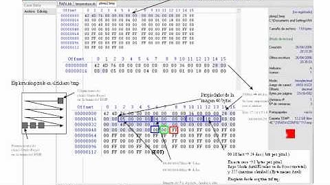 BMP BITMAP FORMAT HEX.wmv