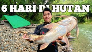 Camping Hujan Deras 6 Hari di hutan Kalimantan Pertualangan Fishing Camp Bermalam masak dan makan