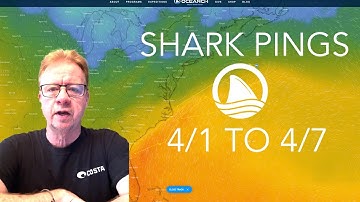 WEEKLY SHARK PING UPDATE WITH OCEARCH DATA SCIENTIST JOHN TYMINKSI (Week 3)