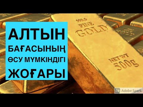 Бейне: Глеб Задоя – қаржы нарығының жетекші сарапшысы. Оның қызметі және клиенттердің пікірлері