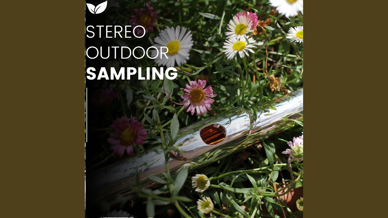 Realistic Nature Stereo