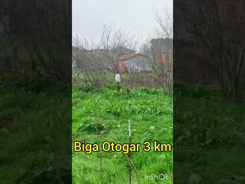 #Çanakkale #biga #kupon