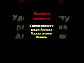 сура #аллах #иман #имам #пост #дуа #shorts #memes #music #амин