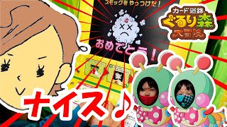 ぐるり森　よすです mqdefault.jpg
