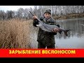 Зарыбление веслоносом. Озеро Кошкино