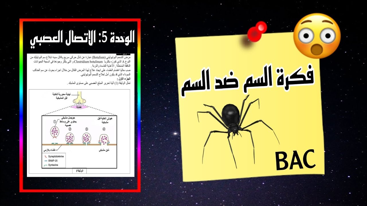 🕷️من أخطر التمارين في الاتصال العصبي😍فكرة ممتازة لتمرين حول تاثير السم على السم[البوتيليك+العناكب ]