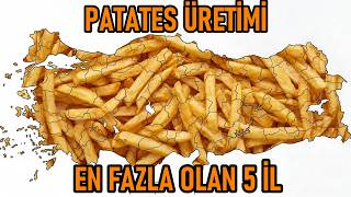 Türkiyenin En Fazla Patates Üreten 5 İli Patates Üretiminde Lider Şehirler
