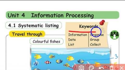 1std Maths - Term 1 - Unit 4 - Information Processing