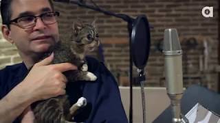 LIL BUB'S BIG SHOW LIVE COMING V SOON! by Lil BUB 21,955 views 4 years ago 25 seconds