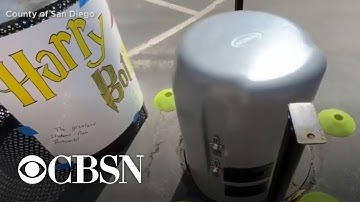 Robots in California test wastewater to predict COVID outbreaks