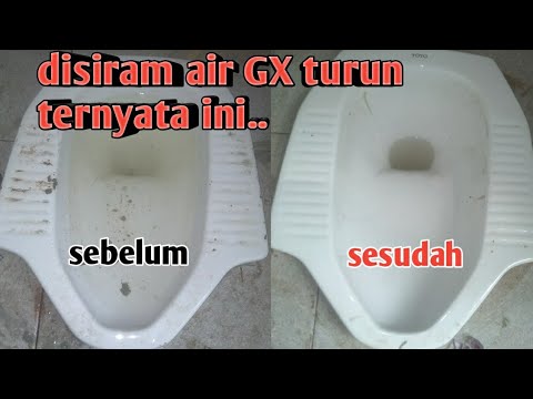 Cara mengatasi WC mampet