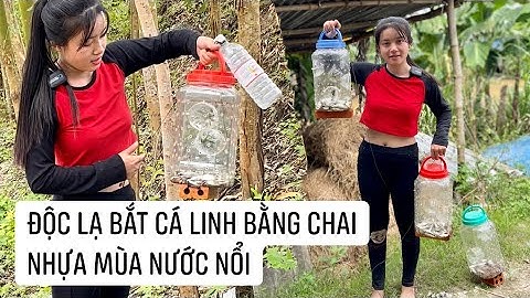 Độc lạ cách bắt cá Linh bằng chai nhựa mùa nước nổi Miền Tây | 208