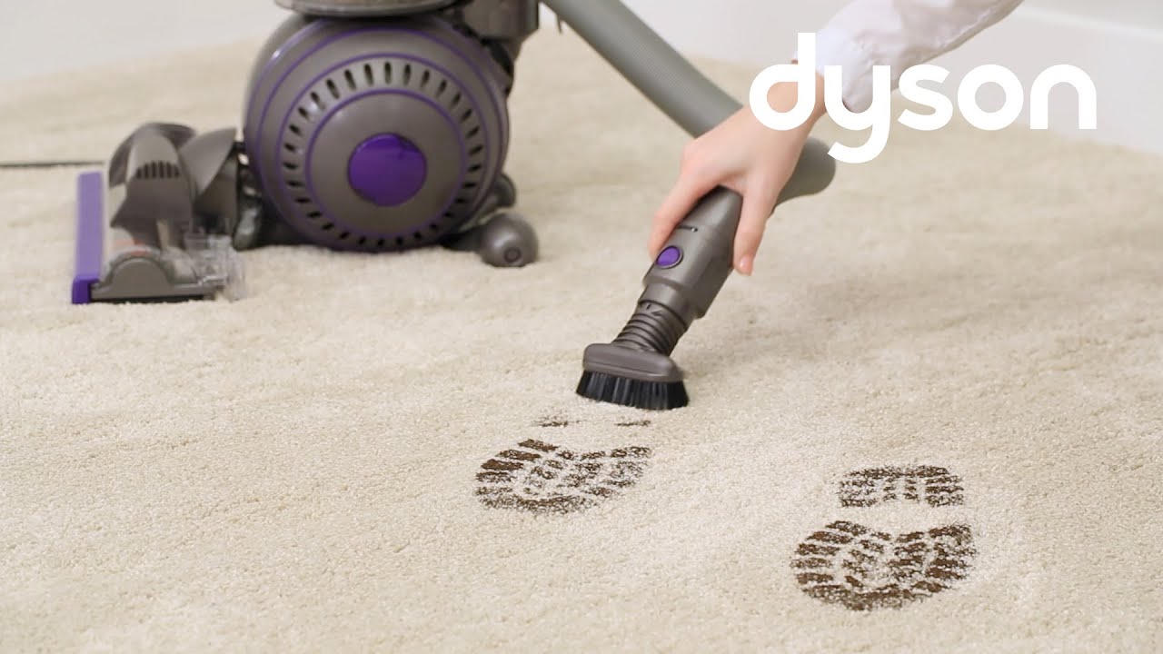 Dyson Ball Animal 2 And Dyson Ball Animal 2 Total Clean Upright Vacuum Cleaners