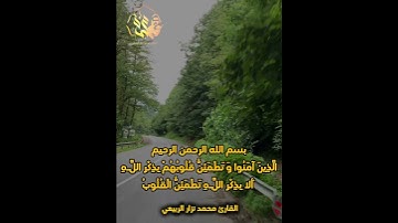 الا بذكر الله تطمئن القلوب| مقام البيات|  #القارئ_محمد_نزار_الربيعي