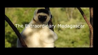 The Extraordinary Madagascar - Madagascar Travels and Tours  (2021 - 2022)