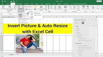 How to Insert Picture & Auto Resize with Excel Cell [Tutorial]