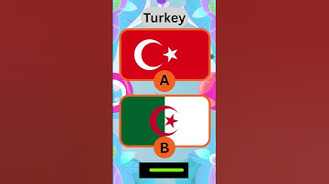 🚩 Which Is The Real Flag? 🤔 | Flag Quiz Challenge 2025 #quiz #semifinalshowdown